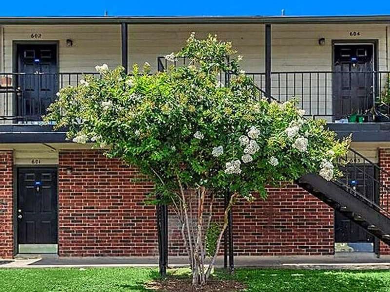 a tree in front of a brick building