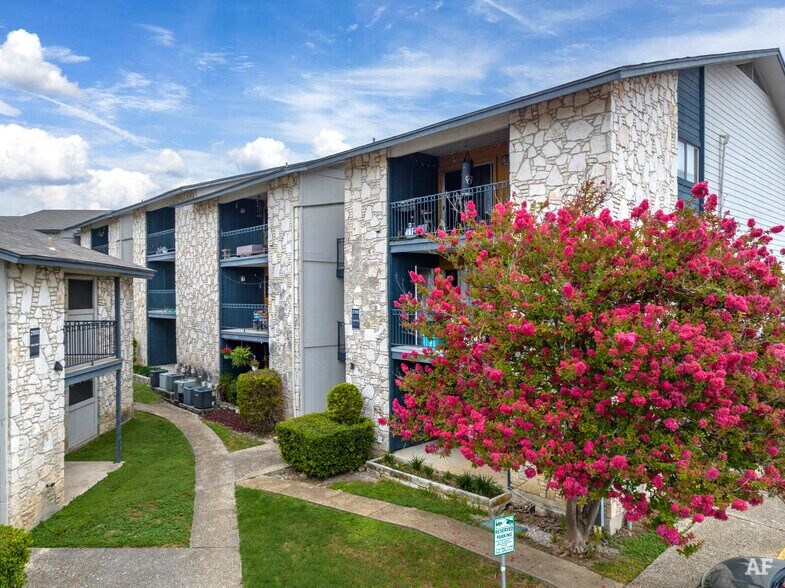 a building with a pink flowering tree in front of it