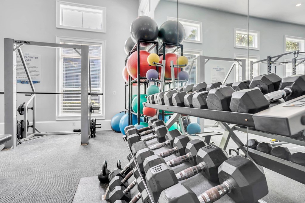 the gym is equipped with a variety of weights and other workout equipment