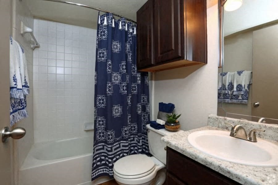 a bathroom with a sink toilet and a shower