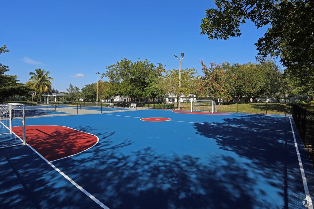Multi-Sports Court