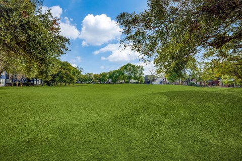 A large, lush green field is framed by trees and a clear blue sky.