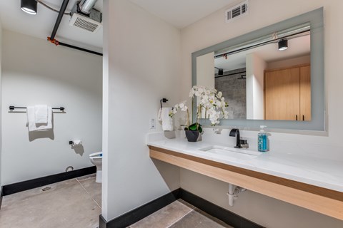 A bathroom with a white sink and a mirror.