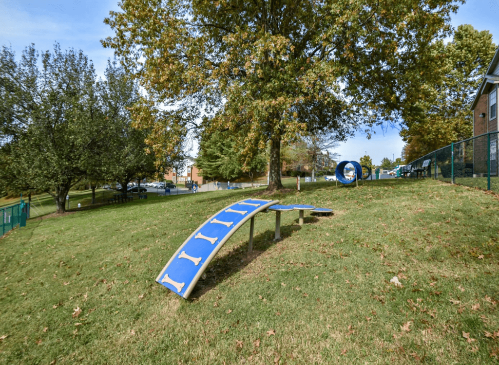 a skateboard ramp on the grass in a park