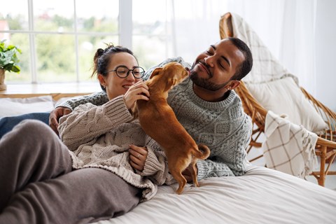 A man and woman are sitting on a bed with a dog.
