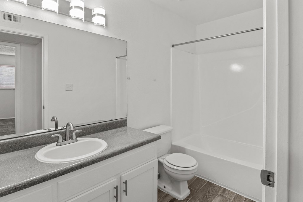 a bathroom with a sink and a toilet and a shower