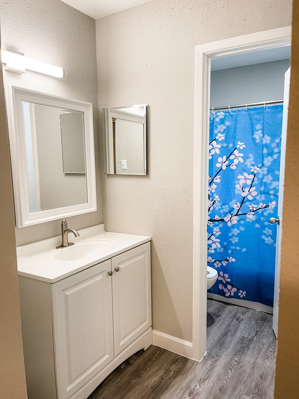 a bathroom with a sink and a mirror and a shower curtain