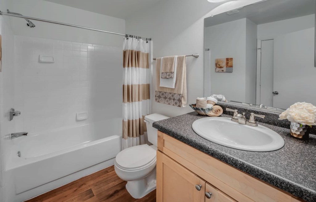 Model apartment home bathroom