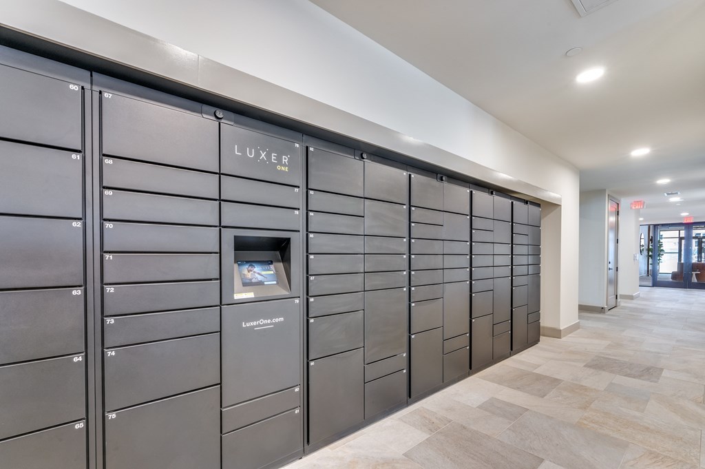 A row of black LUXER branded mailboxes are lined up on a wall.