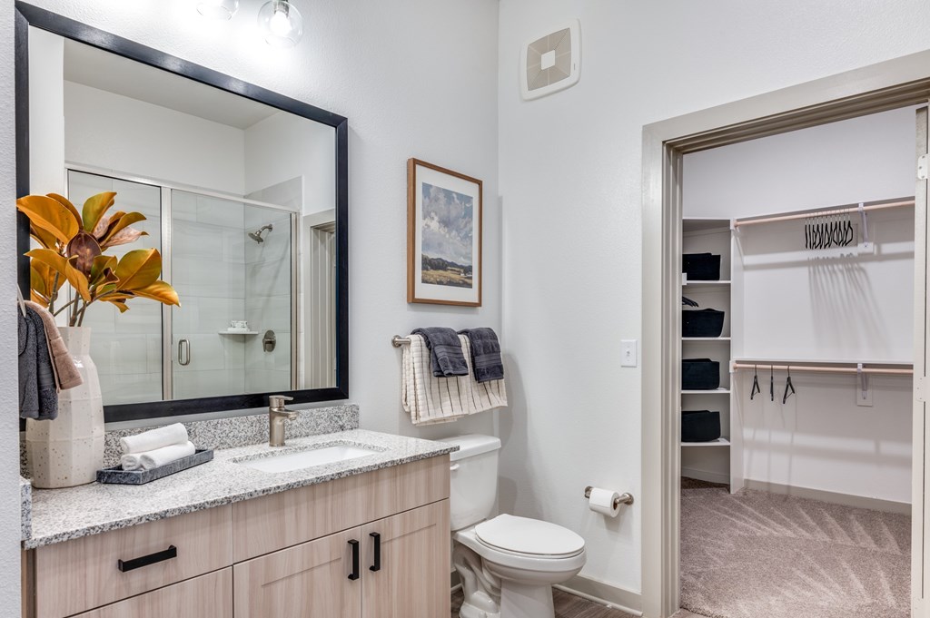 A bathroom with a sink, mirror, toilet, and a closet.
