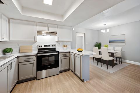 the preserve at ballantyne commons apartment kitchen and dining room