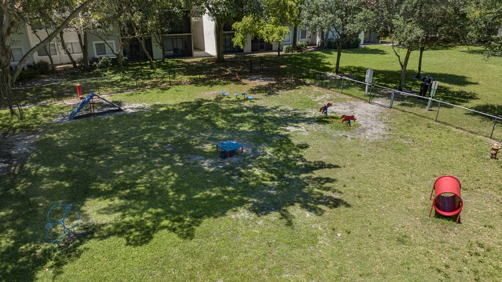 children play in the backyard of a house in a park