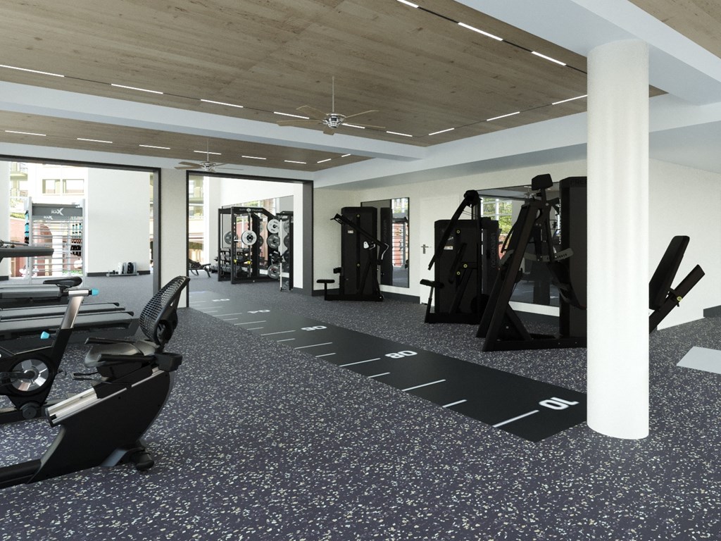 A gym with a variety of equipment including treadmills and weights.