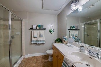 fort worth 2 bedroom apartments for rent with spacious bathrooms - Photo Gallery 14