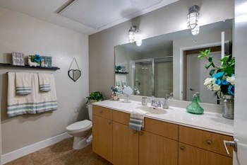 fort worth 1 bedroom apartments for rent with large bathrooms - Photo Gallery 13