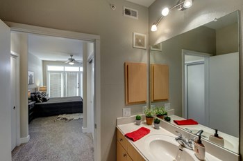 fort worth 1 bedroom apartments for rent with spacious guest bathrooms - Photo Gallery 17