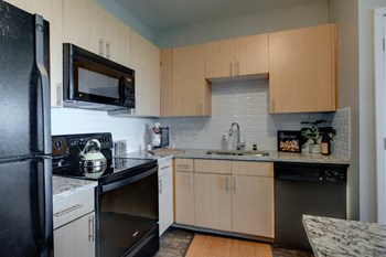 fort worth 1 bedroom apartments for rent with spacious kitchens - Photo Gallery 5