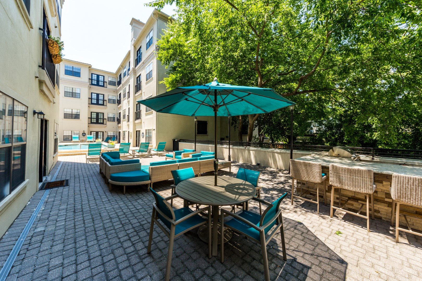 Photos and Video of Vines at Turtle Creek in Dallas, TX