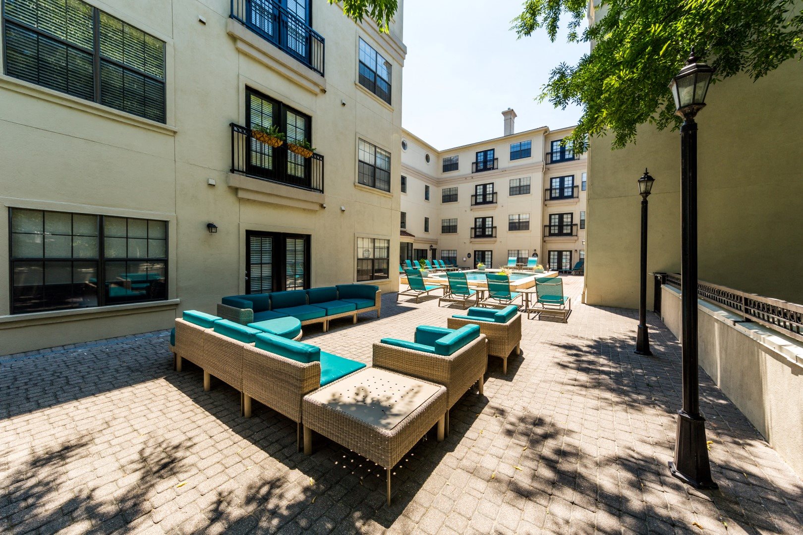 Photos and Video of Vines at Turtle Creek in Dallas, TX