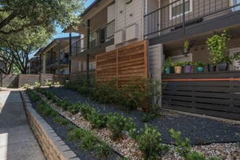 9500 Dessau Rd 1-2 Beds Apartment for Rent - Photo Gallery 4