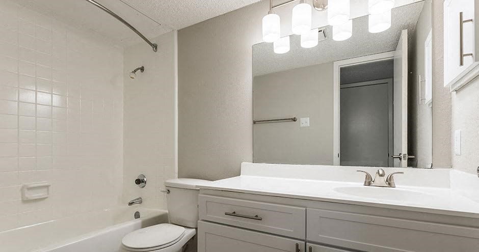 a bathroom with a sink and a toilet and a mirror