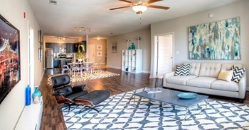 Spacious Living Room - Photo Gallery 2