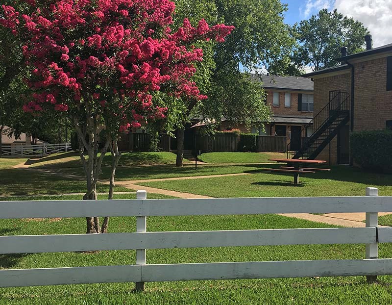 a white fence and a red flowering tree in a yard