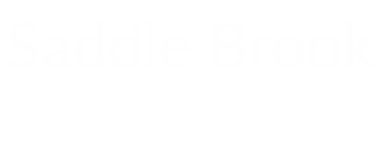 Saddle Brook logo