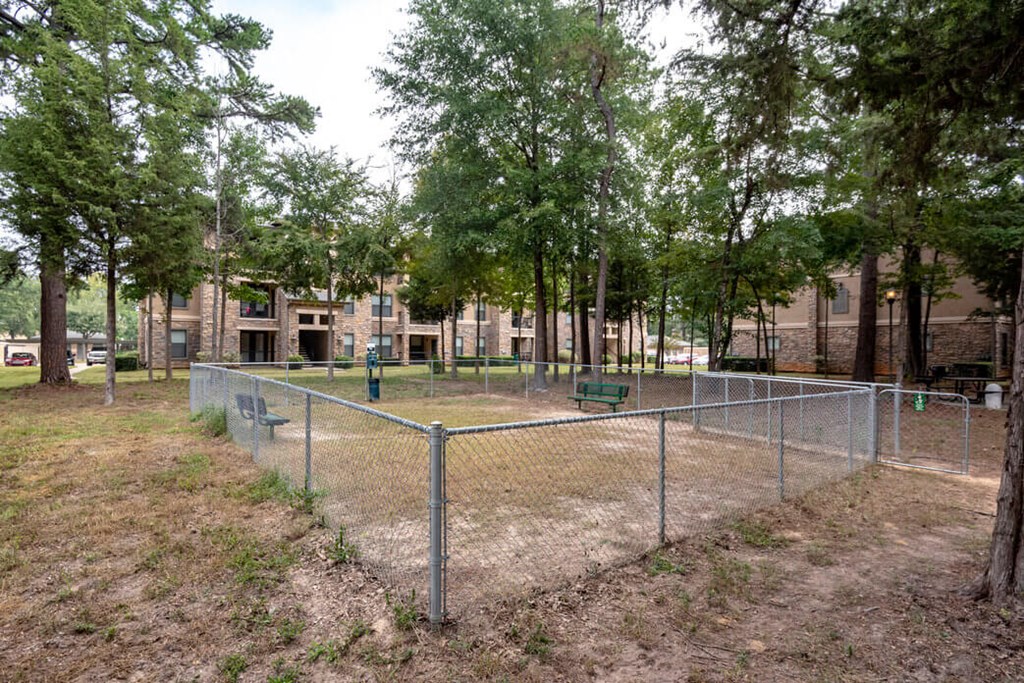 a fenced in area with trees and a chain link fence