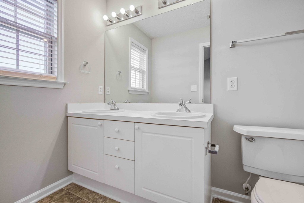 a bathroom with a sink and a toilet and a mirror