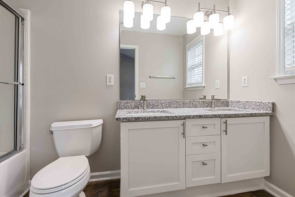 a bathroom with a toilet and a sink and a mirror