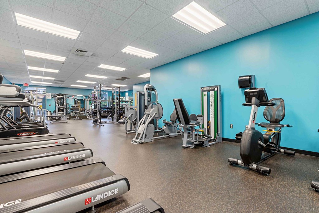 a gym with cardio equipment and weights