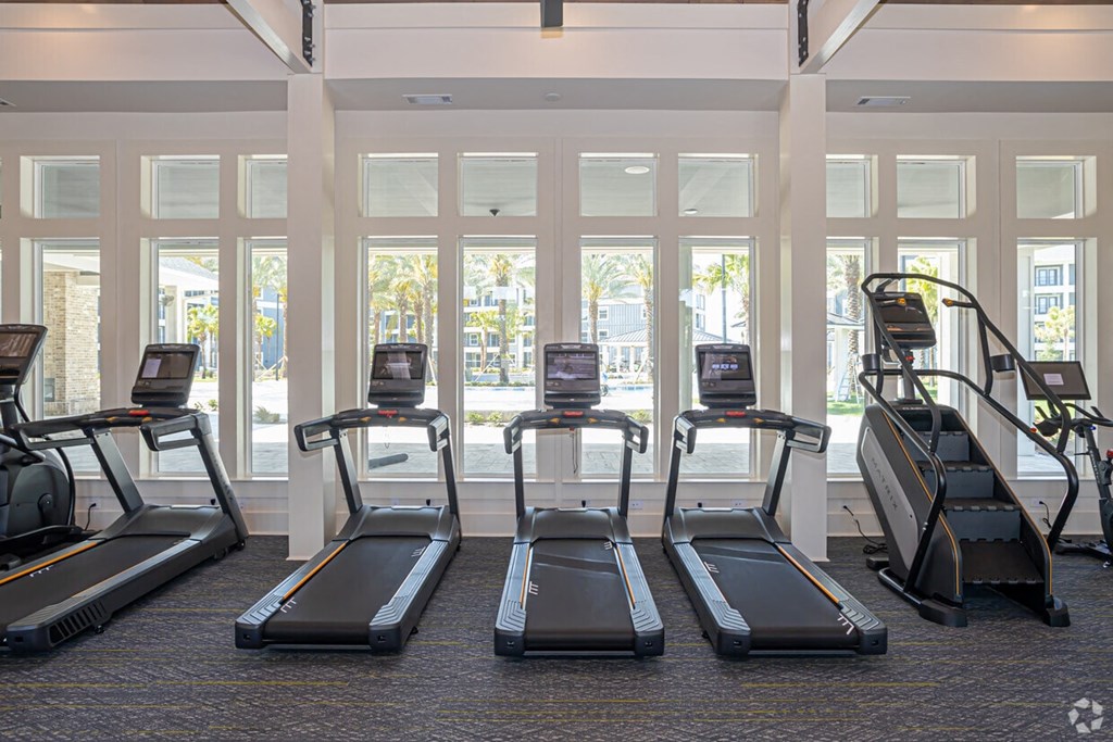 a row of treadmills in a gym with windows