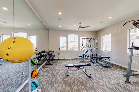A gym with a yellow ball, weights, and exercise equipment.