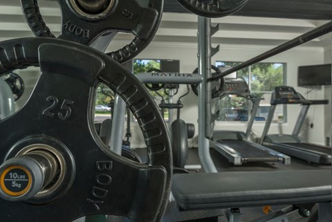 a treadmill and elliptical machines in a gym