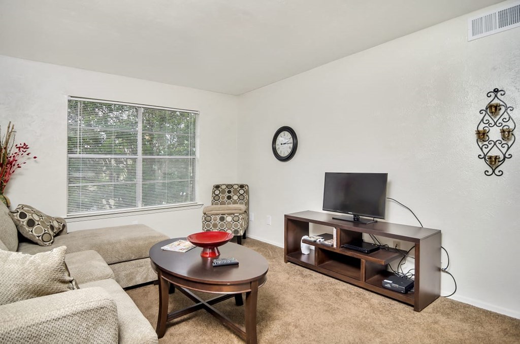 A living room with a couch, a coffee table, and a television.