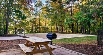 our outdoor grill for those campers - Photo Gallery 7