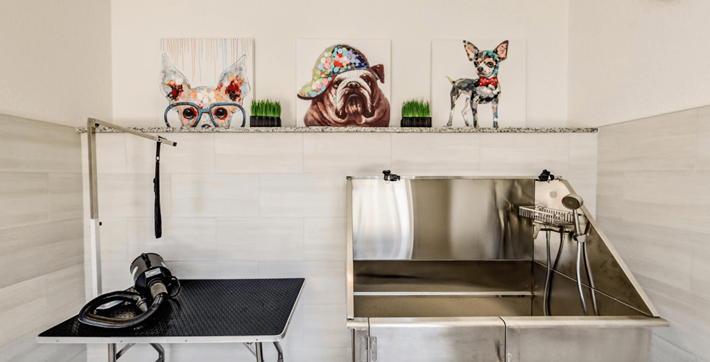 a kitchen with a counter top and a sink and a shelf with pictures of dogs