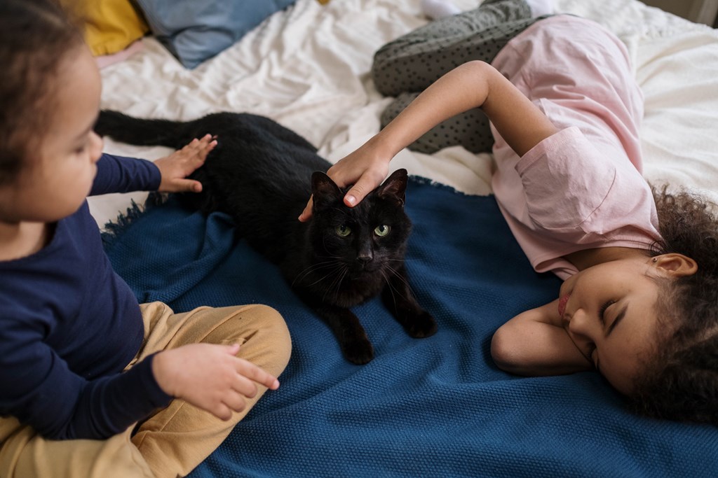 Two children playing with a black cat on a bed.