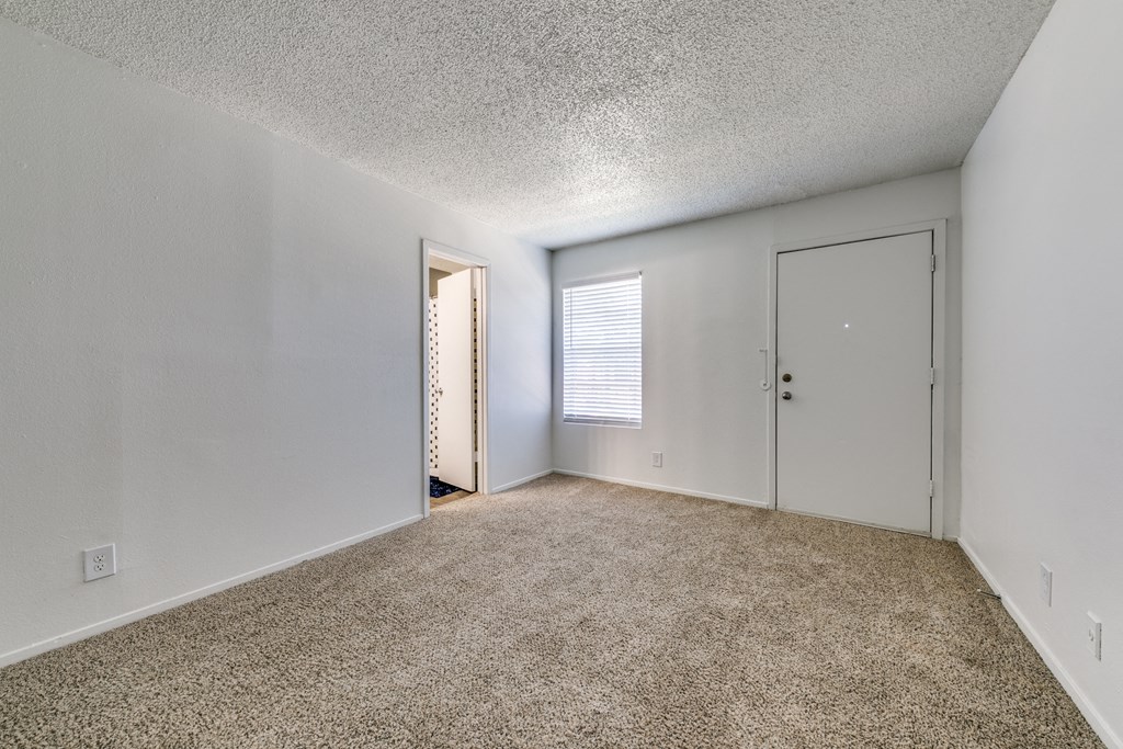 an empty living room with carpet and a door to a closet