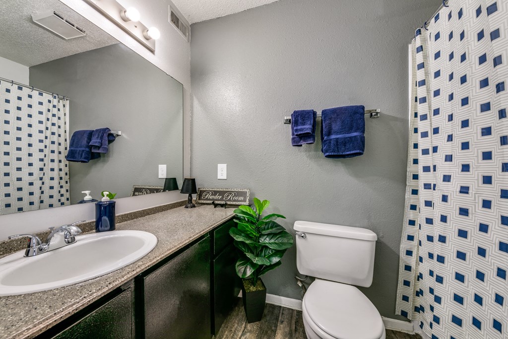 a bathroom with a sink toilet and a mirror