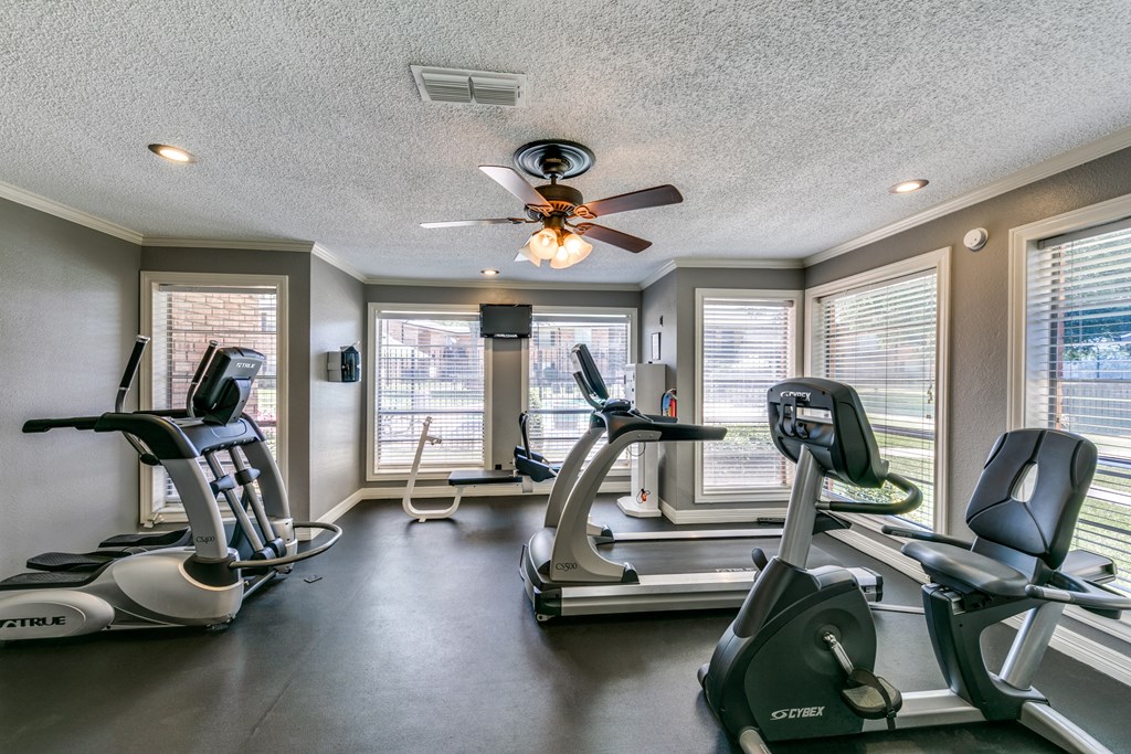 the gym has plenty of cardio equipment and a ceiling fan