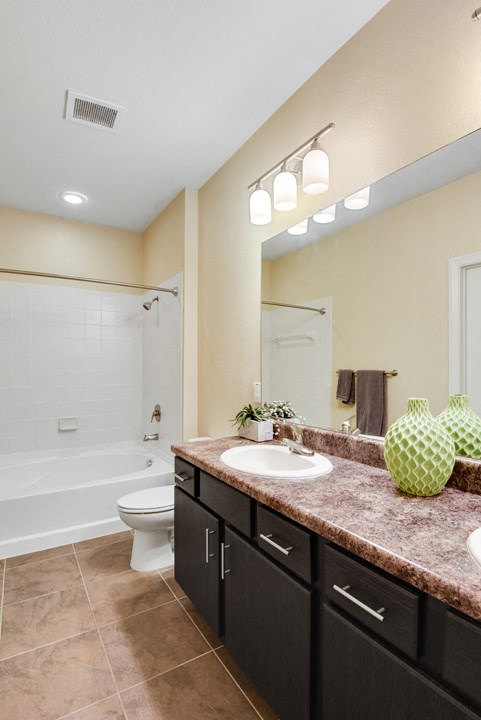 a bathroom with a sink and a toilet
