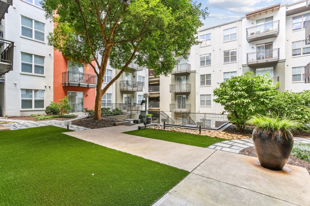A tree in a courtyard of apartment buildings.