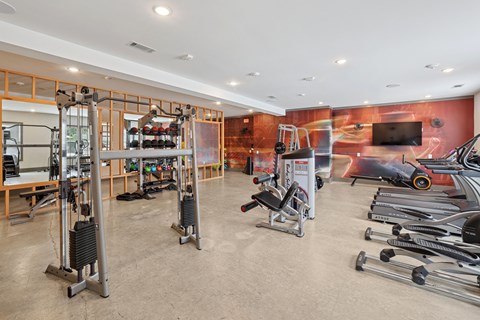 A gym with a variety of equipment including weights and a bench press.