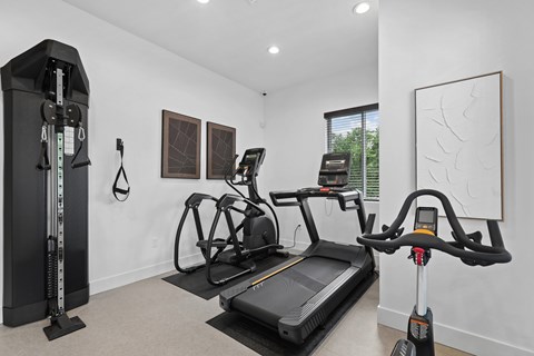 A home gym with a treadmill, a stationary bike, and a rowing machine.