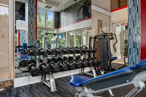 the weights rack in the gym at the belgard apartments