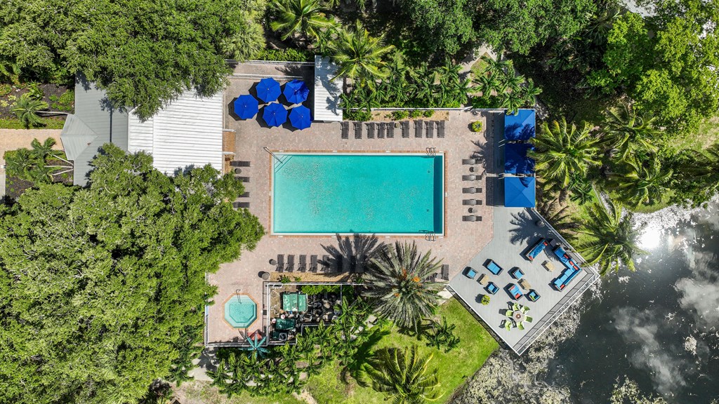 a yard with a pool and a house and palm trees