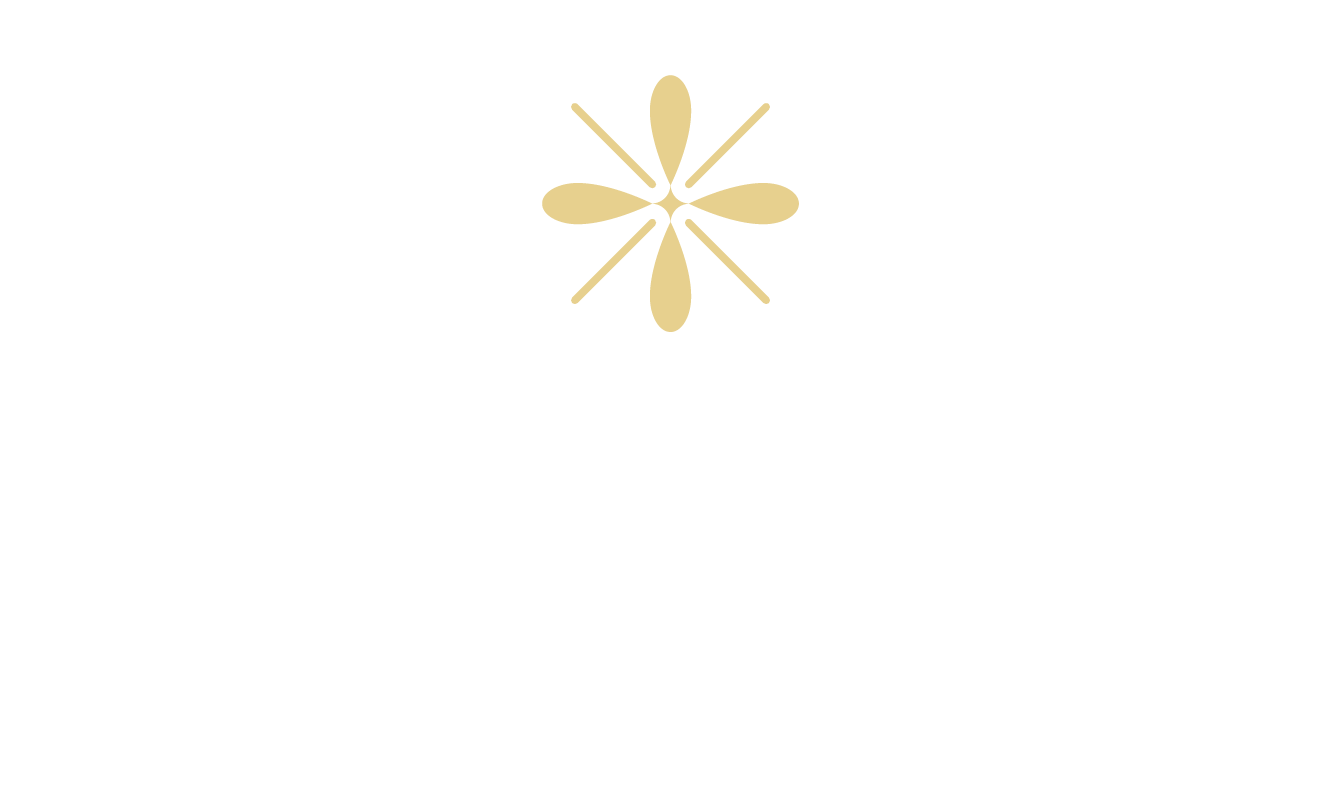 A logo with the word "SOLMERE" in white and "PHOENIX" in smaller text below it.