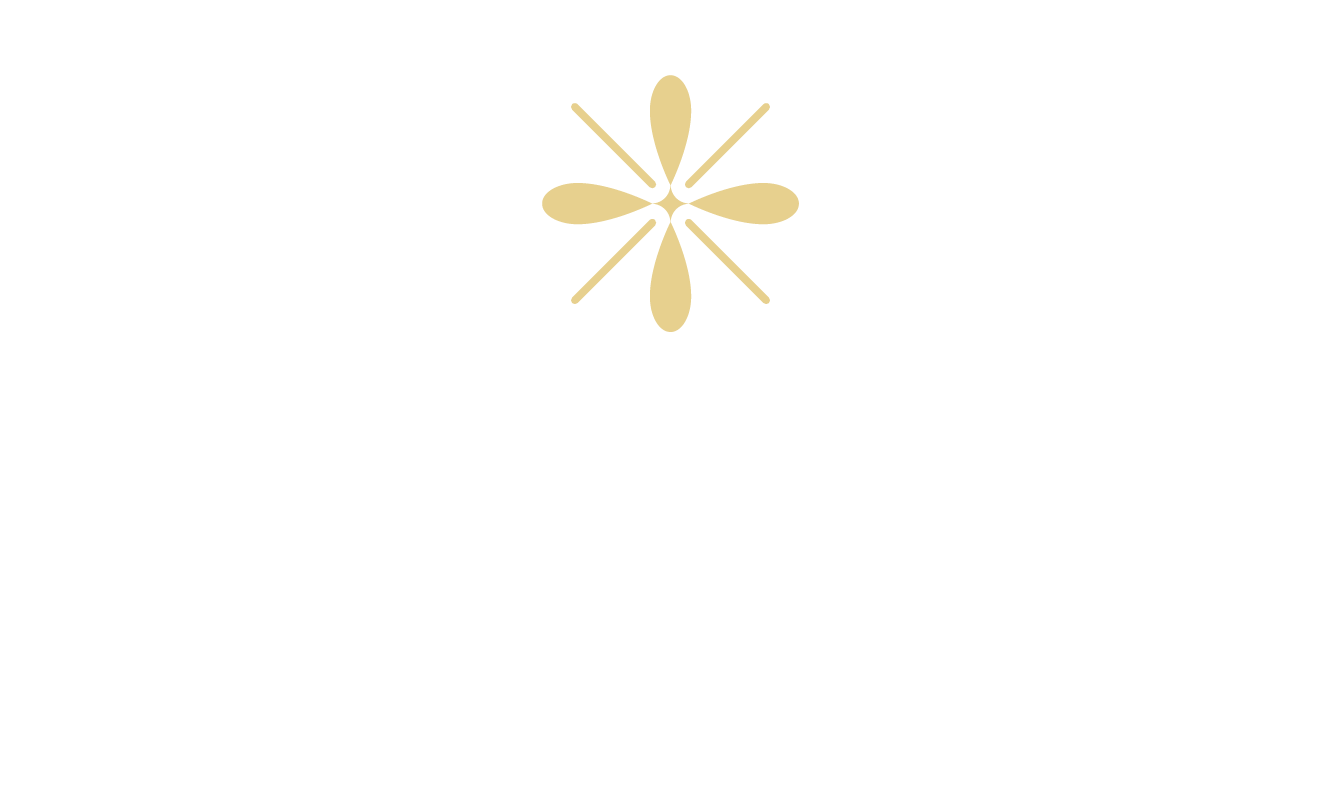 A logo with the word "SOLMERE" and a flower-like symbol above it, followed by the word "DALLAS" below.